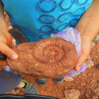 Geoda Interaktív Ásvány és Őslénykiállítás