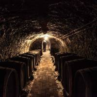 Páll Pince pincetúra és borkóstoló