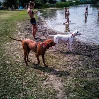 Tisza-tavi Mancsos Pancsoló