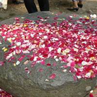 Rózsakő, Badacsony