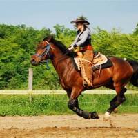 Arany Somlyó Lovaspark