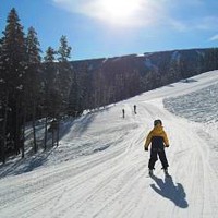 Bánkúti síparadicsom