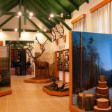 Erdészeti-, faipari és vasúttörténeti Múzeum