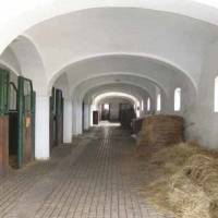 Göbös-major Lovas Turisztikai Központ és Erdészeti Erdei Iskola