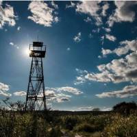 Dél - Hansági madárvárta