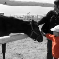 Pátyi Lovascentrum és Terápiás Park
