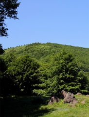 Kékestetői erdőrezervátum