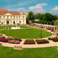 Rozárium - Magyar rózsák kertje 