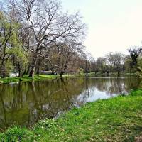 Károlyi-kastély parkja