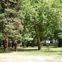 Milleniumi Sétakert