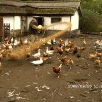 Felső-Kiskunsági Tanya Öko-kiállítóhely