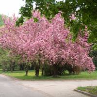 Szőlőfürt Szabadidőpark