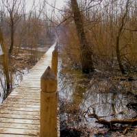 Rácalmási szigetek