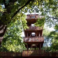 Erzsébet liget lombkorona sétány és kilátó