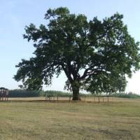 Rózsaberek tanösvény