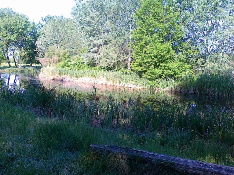 Gerje patak és forrásvidéke