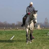 Békési Szabadidős Lovasklub