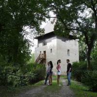 Dombóvári Szigeterdő