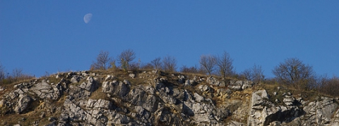 Szársomlyó túra (kikerics)