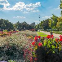 Tisza Park 