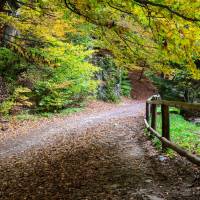 Millenniumi Tanösvény