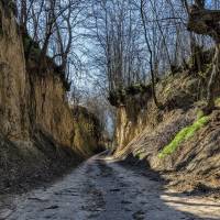 Lösz-szurdik tanösvények