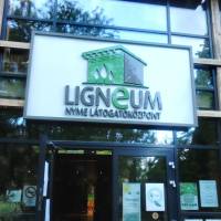 Ligneum Látogatóközpont