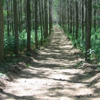 Edészeti tanösvény