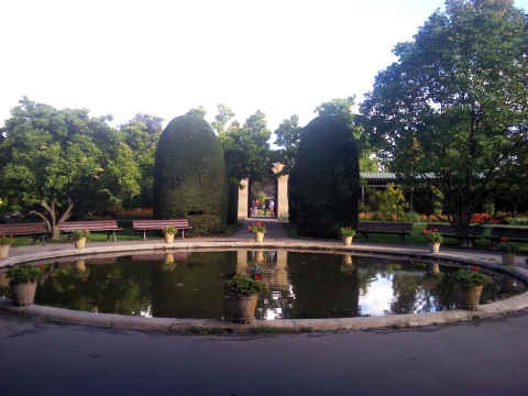 ARBORÉTUM JELLEGŰ KÓRHÁZPARK