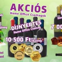 Lics Pincészet és szőlőbirtok