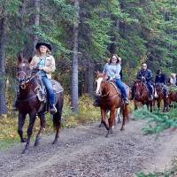 Négypatkó Lovastanya