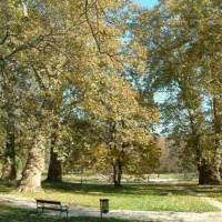 Esterházy kastélypark