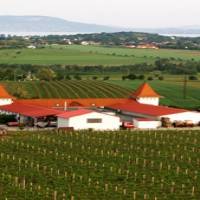 Garamvári Szőlőbirtok