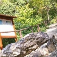 Forrás-hegyi geológiai bemutatóhely