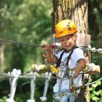 Agyaggalamb lövészet a Sportlőtéren
