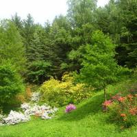  Alsóerdő Zalaegerszeg 