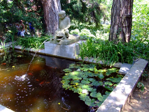 Pintér-kert Arborétum 