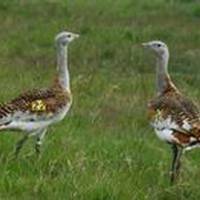 Réhelyi Látogatóközpont