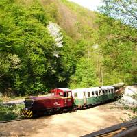 Lillafüredi Állami Erdei Kisvasút