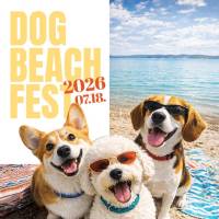 Dog Beach Fest 2026