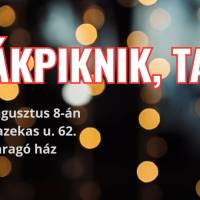 Diákpiknik