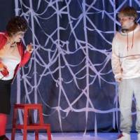 A kutya különös esete az éjszakában