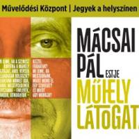 MŰHELYLÁTOGATÁS - Mácsai Pál estje