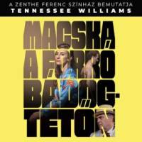  Macska a forró bádogtetőn