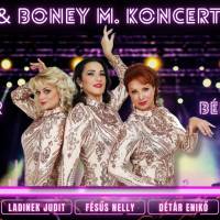 ABBA & BONEY M. KONCERTSHOW 