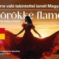 MINDÖRÖKKÉ FLAMENCO