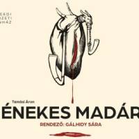  Tamási Áron: Énekes madár Tamási Áron: Énekes madár