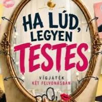 Ha lúd, legyen testes
