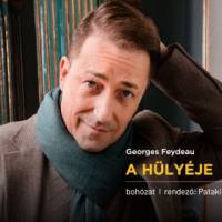 A hülyéje