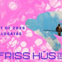 Best of Friss Hús